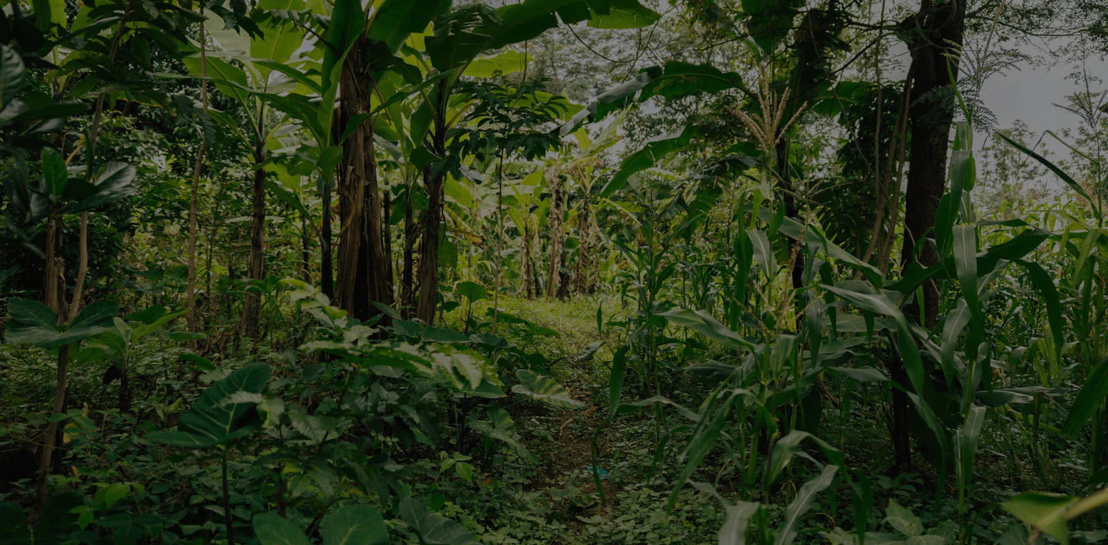 Adventure Bound, Sustainably Made